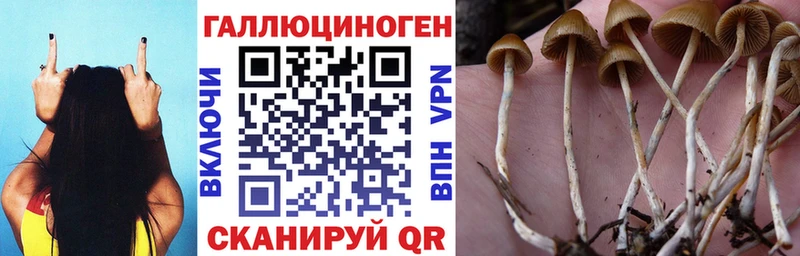 Галлюциногенные грибы мицелий Стрежевой